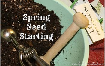 Spring Seed Starting!