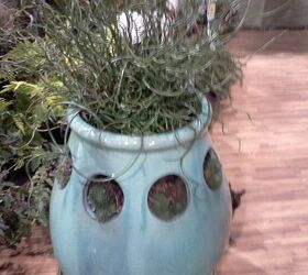 ggia wintergreen tradeshow, gardening, This pot caught my eye looks like an alien thing