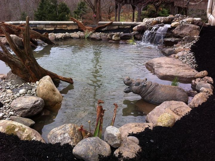 pond build finished product and video, landscape, ponds water features