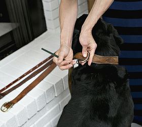 old belts into new dog collars, pets animals, repurposing upcycling
