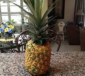 my first grown home pineapple, gardening