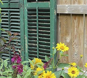 using old shutters in the garden, It gives this new fence a bit of history and whimsy