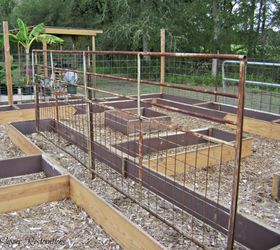 raised garden beds made from salvaged wood, diy, gardening, raised garden beds, repurposing upcycling, woodworking projects, Old Iron Farm Gate repurposed as trellis