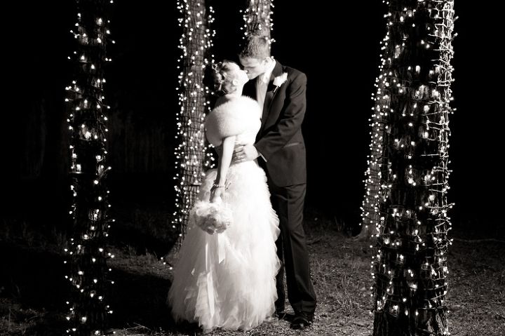 how to wrap lights around trees, diy, how to, lighting, outdoor living, Beautiful picture backdrop for weddings