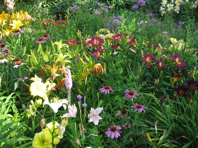 le jardin de luis luis garden, flowers, gardening