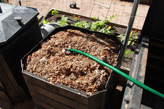 using a 3 bin composting system for maximum efficiency, composting, gardening, go green, homesteading