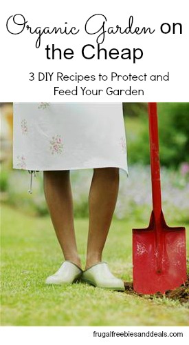 organic garden on the cheap protect and feed your garden for pennies, flowers, gardening