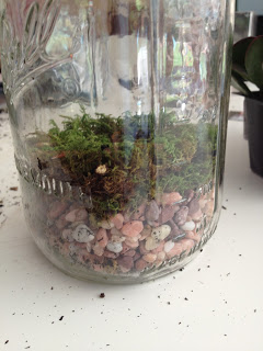 terrarium s, flowers, gardening, succulents, terrarium, Fill the base with pebbles moss and a thin layer of activated charcoal found at home and garden centers