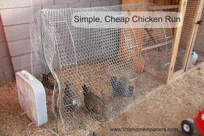 keeping backyard chickens, homesteading, pets animals, Our homemade chicken run for the older girls