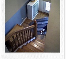 refinishing the entry staircase, stairs, Entry stairs before