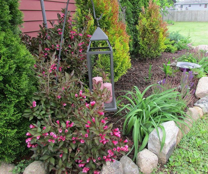 how to mix evergreens and spring summer flowers for year round color, flowers, gardening