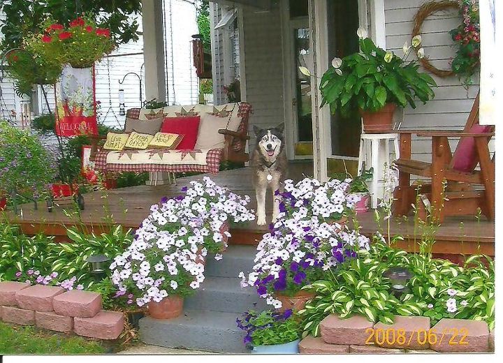 our summer front porch, gardening, outdoor living, porches, Our dog Nikita on our Front Porch Just wanted to share a pic of all our hard work