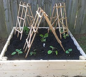 raised garden beds, diy, gardening, raised garden beds, woodworking projects, second bed with plants