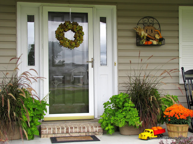 fun fall porch inspiration, outdoor living, repurposing upcycling, seasonal holiday decor, Purple Fountain Grass and Electric Lime Coleus flank the front door left over from the summer