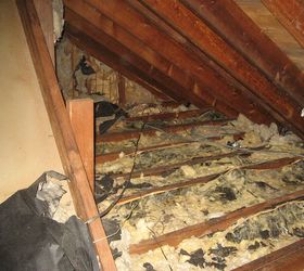 critter damage and repairs, home maintenance repairs, how to, pest control, Just one of the many areas that they destroyed