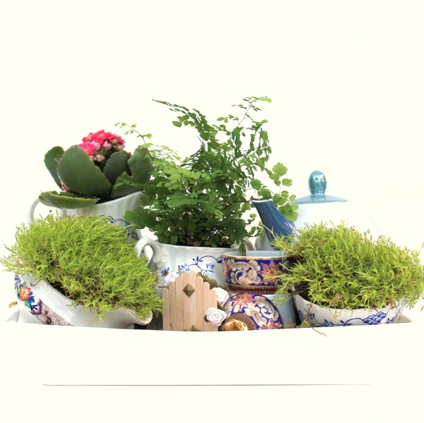 un mini jardin de maceta de te jardin de hadas, Un mini jard n de tetera utilizando una tetera tazas de t cremeras y azucareros