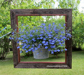 update on framed flowers, flowers, gardening, succulents, Today