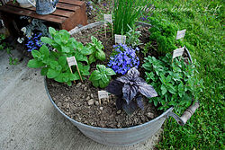 make herb markers for your garden, crafts, gardening, complimentary herb markers