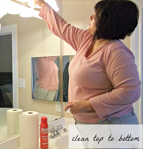 bathroom cleaning tips, cleaning tips, finally a cleaner that doesn t leave streaks