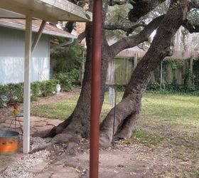 tree support disguise or decorate, landscape, outdoor living