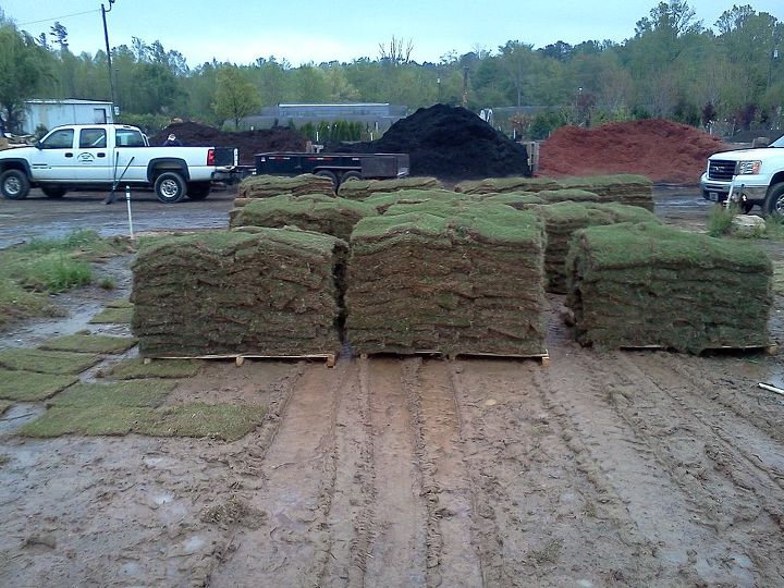 the picture show two different sod farms bermuda deliveries into the nursery they, gardening, Not so good