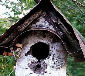 spring is on the way, gardening, Birch birdhouse a favorite of the wrens