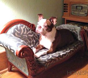 furniture for pets, painted furniture, pets animals, A little fainting couch with ornate woodwork