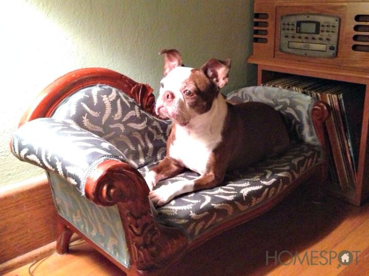 furniture for pets, painted furniture, pets animals, A little fainting couch with ornate woodwork