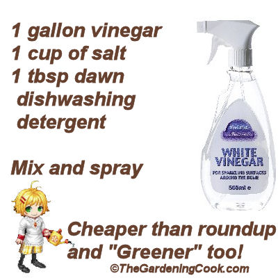 why use roundup make your own weed killer, gardening