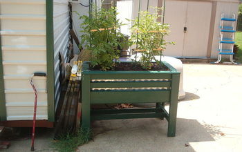 Recycled Raised Tomato Bed