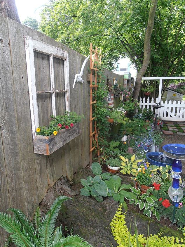 our one year old little shady patio garden, gardening, outdoor living, repurposing upcycling, June 2013