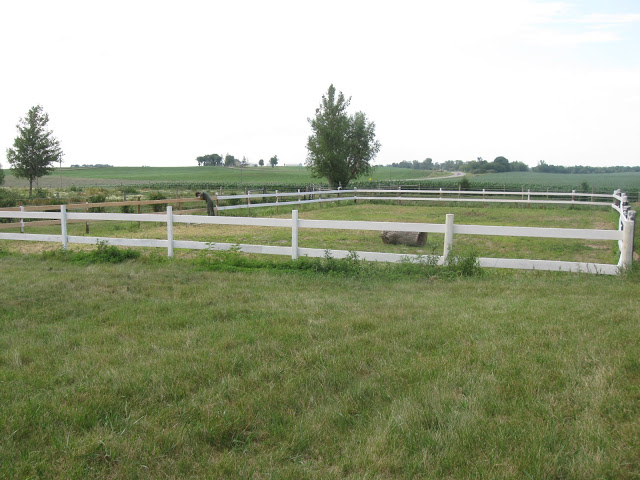 our riding arena, fences, outdoor living, Close to finished