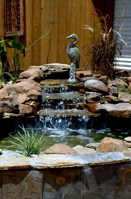 backyard pond with waterfall, ponds water features
