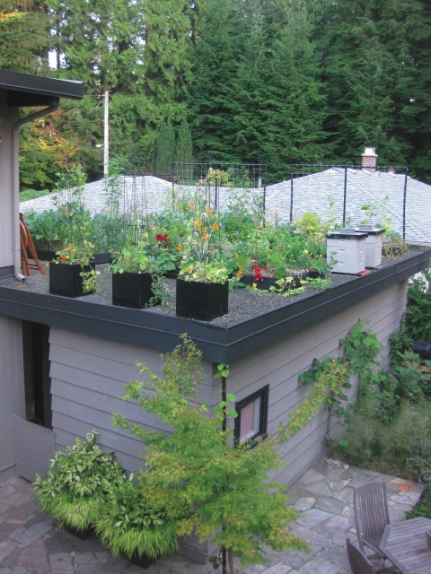 build an edible rooftop garden, gardening, urban living, Don t you just love this garden on the top of this garage roof