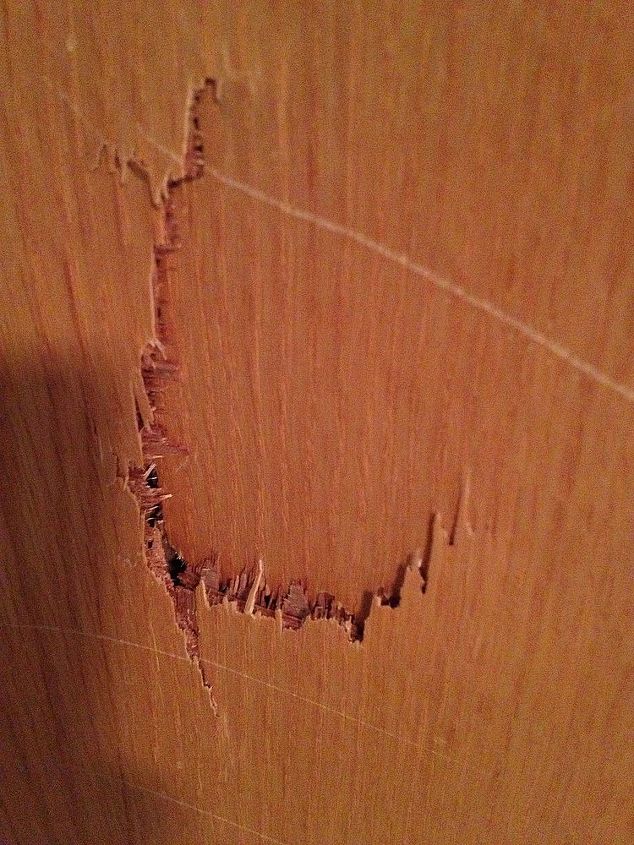 Repairing Hollow Core Door Hometalk