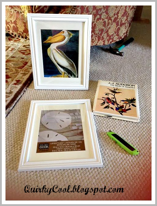 diy wall gallery of vintage bird prints, home decor, The materials Vintage bird print book inexpensive frame a razor blade