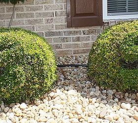q how can i make the number on this shrub be more visible, landscape, outdoor living, Shrubs with house numbers