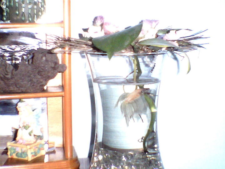 not just your average fish bowl, home decor, pets animals, This one is in my bed room It is topped with a twig wreatth a butterfly and pink fuzzy blossoms I also have a Philadendron rooting in it