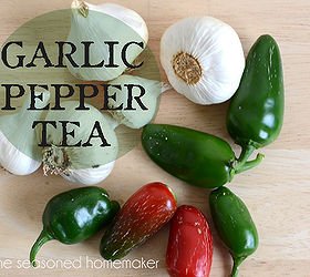garlic pepper tea a natural pesticide, gardening, A safe and easy way to get rid of garden pests