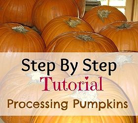 step by step tutorial for processing pumpkins, seasonal holiday d cor