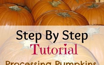 Step By Step Tutorial for Processing Pumpkins