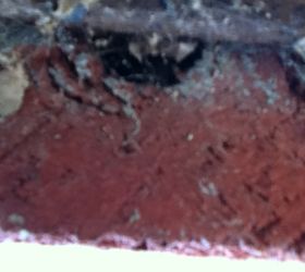 honey bee problems already, pest control, Top brick above the basement window