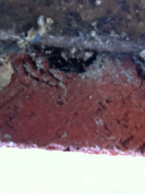 honey bee problems already, pest control, Top brick above the basement window