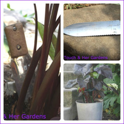 what s in our garden tool kits, gardening, Magic Touch and Her Garden s whimsical tool story