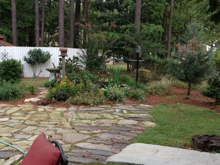 what is killing my plants, gardening