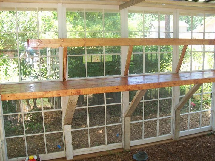 greenhouse project, diy, gardening, home improvement, repurposing upcycling, He really did this cause i have 80 house plants Hoped i would put some out here in the winter