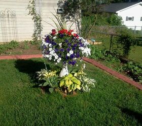my large landscape project, flowers, gardening, landscape, I had a damaged old concrete birdbath I placed it in the center of my backyard and made a planter out of it and placed different varieties of hosta around the base