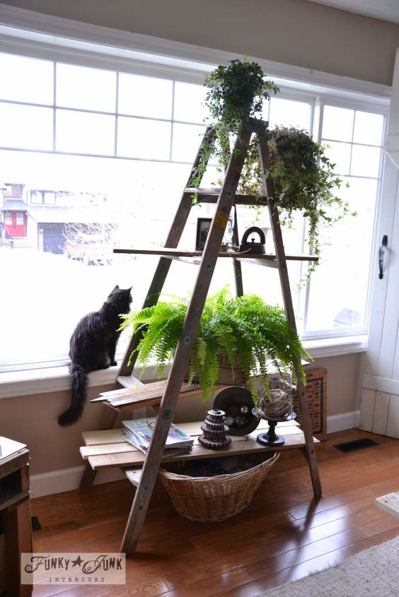 decorating from nothing to something a junker s full home tour, home decor, outdoor living, repurposing upcycling, A ladder plus reclaimed wood creates the coolest plant stand ever Cats love it too