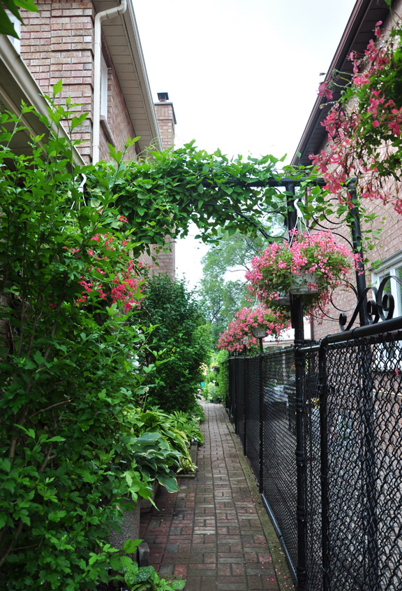 ideas for that narrow space in between suburban homes