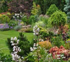 this is one garden you should see, flowers, gardening